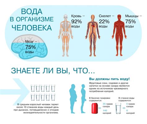  Как влияет недостаток жидкости в организме на состояние ногтей
