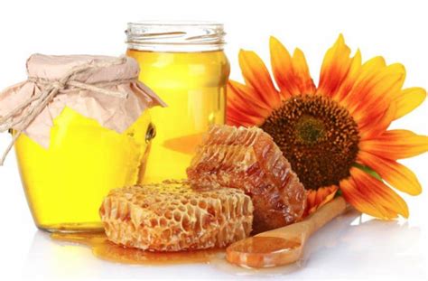  Как различить качественный мед от подделки: признаки натуральности 