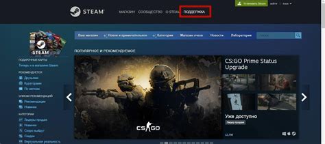  Как сделать так, чтобы ваш аккаунт Steam не был удален в будущем 