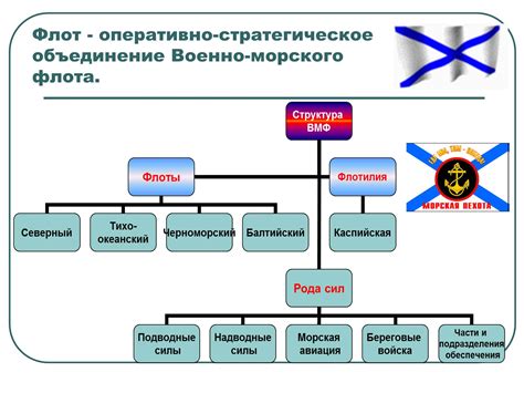  Назначение и цель НПО в Российской Федерации 