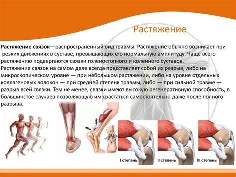  Ослабление мышц и связок: причины и влияние на организм 