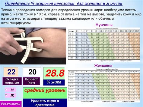  Основные способы измерения процента жировой ткани в организме: обзор и анализ
