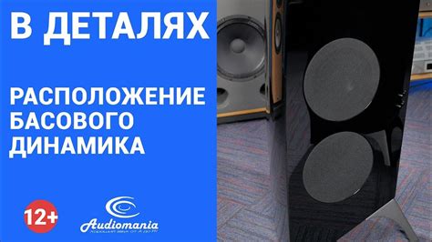  Подключение активного басового динамика марки Pioneer мощностью 1600 ватт к акустической системе 