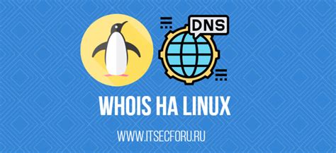  Поиск владельца доменного имени с помощью архивных данных Whois 