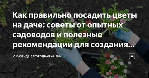  Полезные рекомендации и советы 