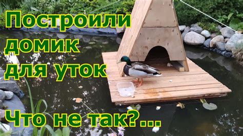  Понятие домика на воде и его возможности 