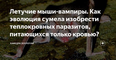  Потенциальные проблемы, связанные с непрошедшим выявлением питающихся паразитов
