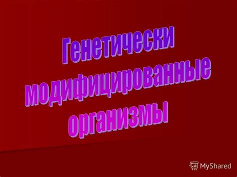  Потенциал Алис сервиса в различных отраслях жизни 