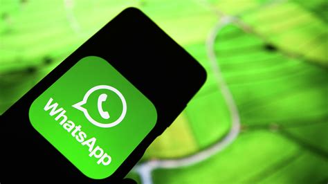  Практичное руководство: освобождаемся от излишних контактов в WhatsApp 