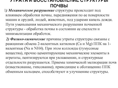  Причины утраты завитости и пути ее восстановления 