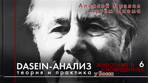  Психологический анализ образов свиней и голов в сновидениях 