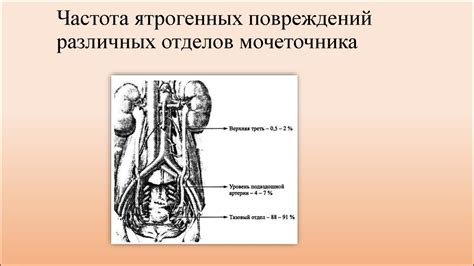  Травматические повреждения мочевых органов 