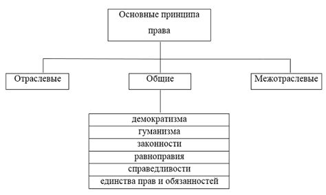 Proxychains: принцип работы и его практическое значение