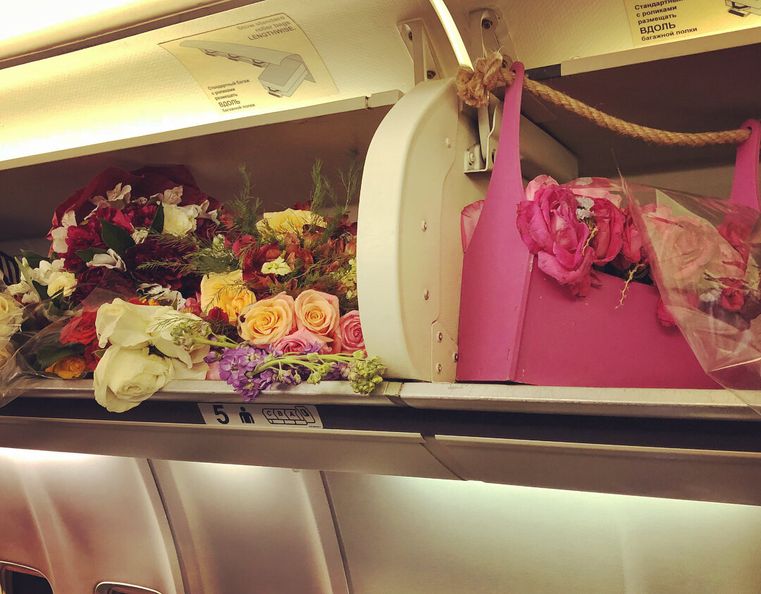 Цветы в самолёт